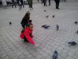 Gradski golubovi nistu ostali gladni